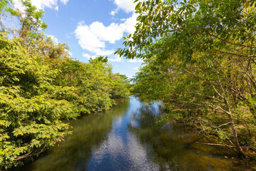 Panama Las Zambranos, Papayal creek