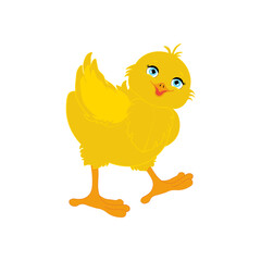 Chick bird cute little animal vector illustration