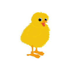 Chicken cute little yellow bird vector illustration