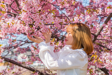 Fototapeta premium 河津桜と若い女性