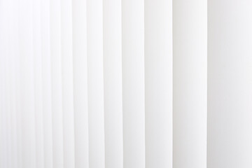 Office white vertical blinds for the background.
