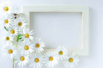 Fototapeta premium flower frame