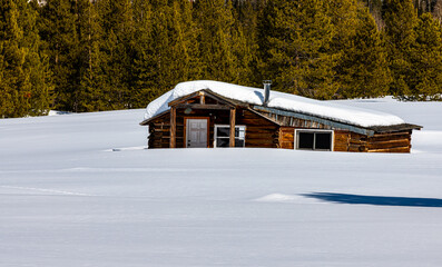 Cabin in a Snow Drift in Steamboat Lake State Park