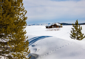 Cabin in a Snow Drift in Steamboat Lake State Park