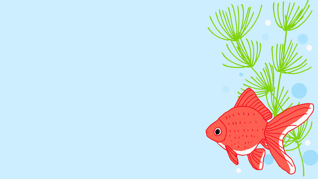 505 Best 横向きの Images Stock Photos Vectors Adobe Stock