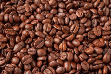 Fototapeta premium roasted coffee beans