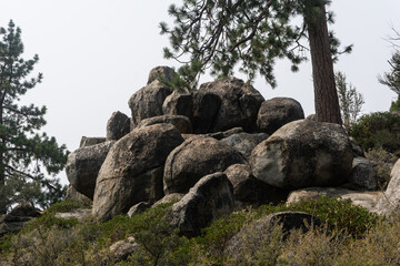 rocks among the trees
