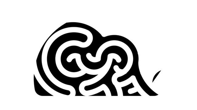 marine shell glyph icon animation
