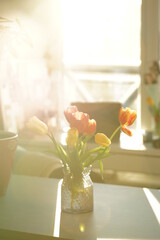 Bouquet of tulips in a vase on a table on a sunny day