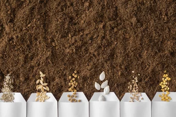 Foto op Plexiglas White packs of salad, cucumber, beet, pumpkin, tomato, paprika seeds on fresh dark soil. Closeup. Planting vegetables. Preparation for garden season in early spring. Empty place for text. Top view. © fotoduets