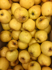 Pomme bio jaune
