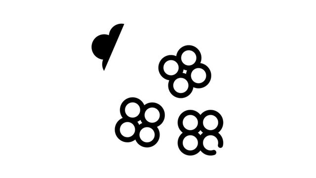 staphylococcus aureus black icon animation