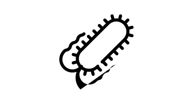 salmonella bacteria black icon animation
