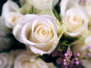 bouquet arrangement of white roses with small pink flowers