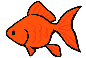 琉金の金魚のイラスト