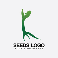 Fototapeta premium Plant Seeds Logo Concept Template Vector.growing seed logo.Seed grow Vector logo illustration design template
