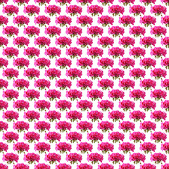 pattern of geranium flowers pattern