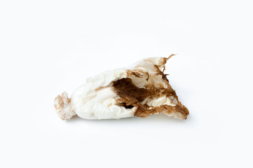 Rotten Chinese cabbage on white background.