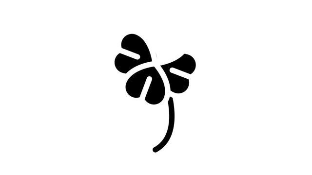 clover lucky glyph icon animation