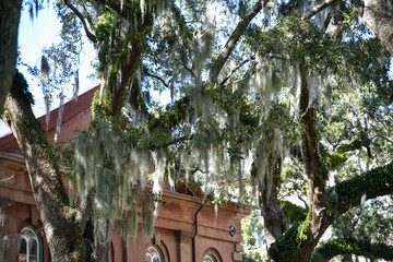 Obraz premium College of Charleston, the oldest municipal college in America, founded in 1770