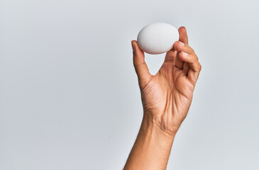 Young hispanic hand holding raw egg over isolated white background.