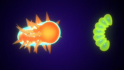 3d illustration of bacteria anatomy