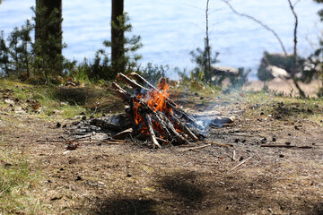 campfire in the forest with a blurred background
