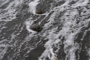 Background in the form of sea foam on the beach