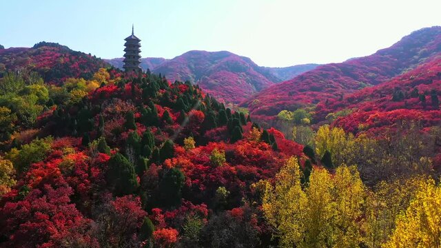 Aerial shot of colorful autumn mountains, ancient pagoda on hill for tourism