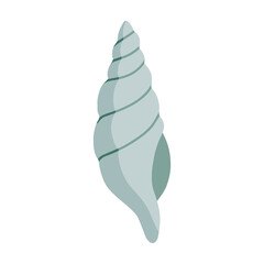 Sea shell. Vector illustration. Isolated object, element on a white background. The sea clam is blue. Seashell