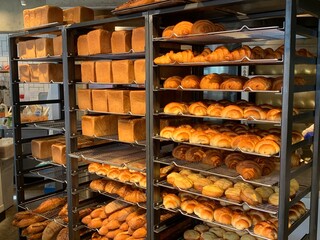 Freshly baked loaves and rolls of bread