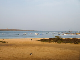 Stray dogs chilling on a sandy beach of Sal Rei, Cape Verde. Small wooden fishing boats floating in the marine. Selective focus on the land, blurred background.