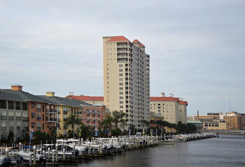 Marina in der Downtown von Tampa am Golf von Mexico, Florida, USA.