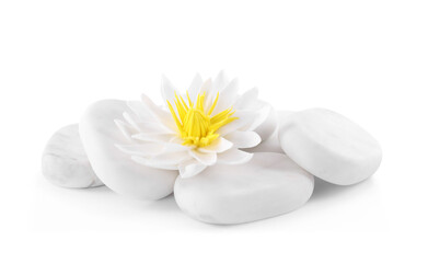 Obraz na płótnie Canvas Beautiful lotus flower and stones on white background