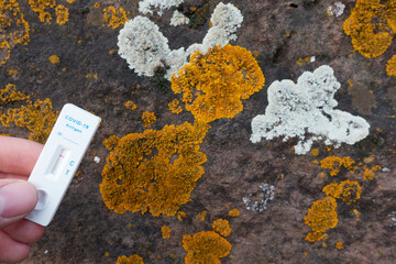 Negative covid-19 test result before reddish wall with orange and white fungal mold formation. Left...