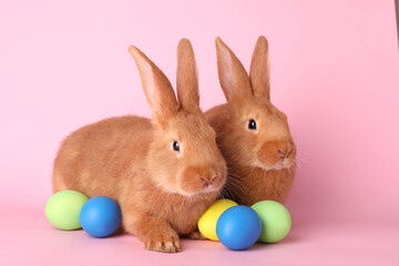 Fototapeta na wymiar Cute bunnies and Easter eggs on pink background