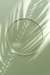Round acrylic plate on green background with tropical leaf shadow. Stylish background for presentation.