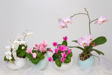 Easter vases with delicate natural flowers in eggshell