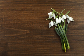 Beautiful snowdrop flowers on wooden table, flat lay. with space for text. Symbol of first spring...