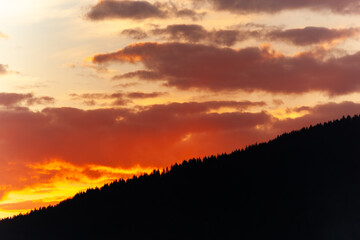 Soleil couchant sur la forêt à la montagne