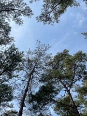 Beautiful temple scenery