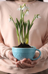 Woman holding turquoise cup with planted snowdrops, closeup