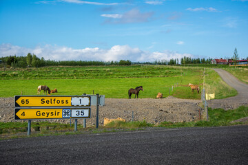 Road signs showing directions to famous destinations in Iceland - Geysir and Selfoss