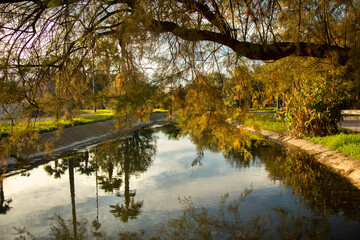 Fototapeta na wymiar Beautiful autumn landscape in Valencia with a reflection of nature in the water
