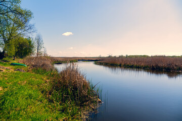 Wiosna nad Narwią, Narwiański Park Narodowy, Podlasie, Polska © podlaski49