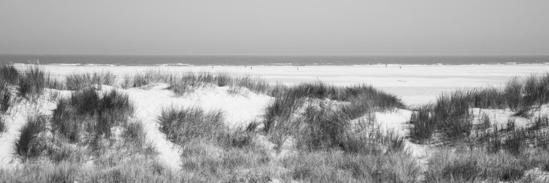 D&uuml;nenlandscaft an der K&uuml;ste, Nationalpark, UNESCO-Weltnaturerbe Wattenmeer, Borkum, Ostfriesische Insel, Ostfriesland, Niedersachsen, Deutschland