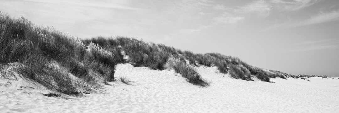 D&uuml;nenlandscaft an der K&uuml;ste, Nationalpark, UNESCO-Weltnaturerbe Wattenmeer, Borkum, Ostfriesische Insel, Ostfriesland, Niedersachsen, Deutschland