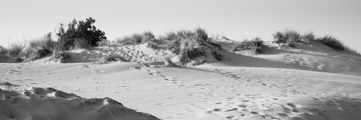 Dünenlandscaft an der Küste, Nationalpark, UNESCO-Weltnaturerbe Wattenmeer, Borkum, Ostfriesische...