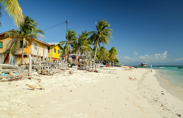 Village buildings on a sandy beach with coconut trees by the sea water
