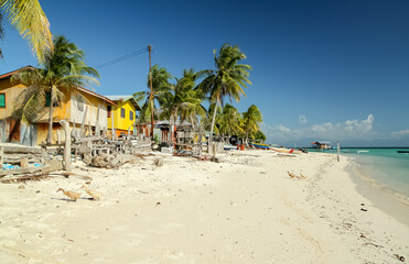 Village buildings on a sandy beach with coconut trees by the sea water